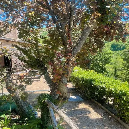 Casa vacanze Cerro Cottage/slps 8/exc Pool Onsite/spoleto 9 Kms Spoleto