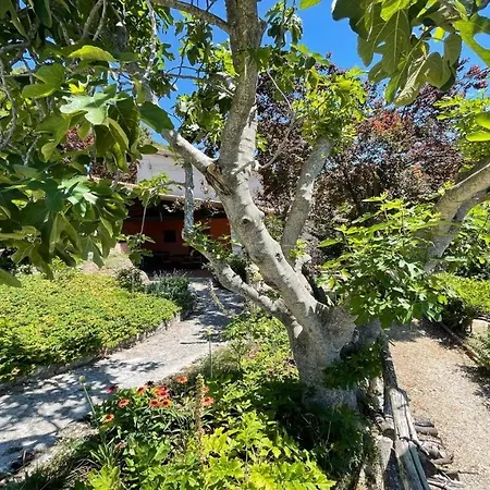 Cerro Cottage/slps 8/exc Pool Onsite/spoleto 9 Kms Holiday home *